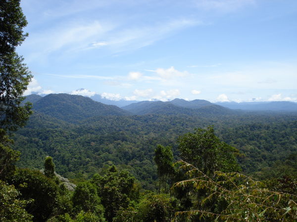 The view over Taman Negara