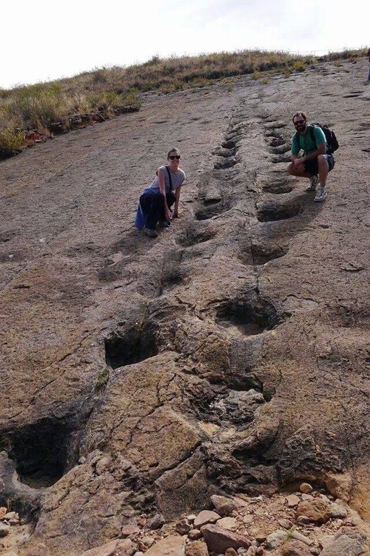 Spectacular dinasaur tracks