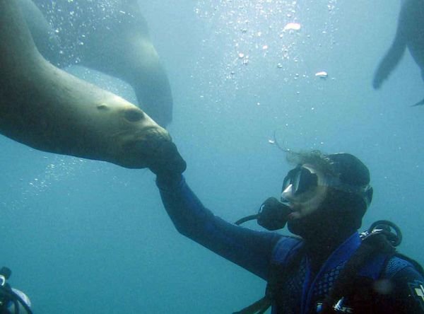 Underwater greeting