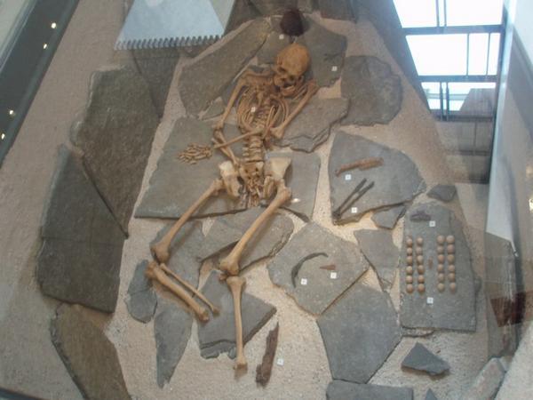 Old viking skeleton