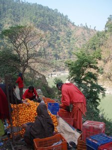 Royal Chitwan NP to Kathmandu