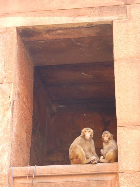 Red Fort (7)