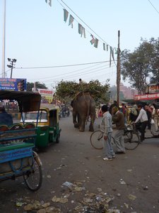 Around Agra (10)