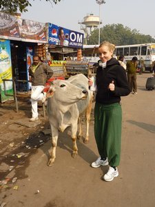 Around Agra (13)