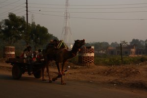 Fatehpur Sikri (14)