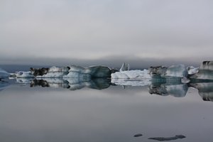 Glacier Lagoon (37)