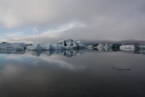 Glacier Lagoon (33)
