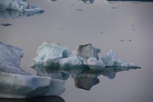 Glacier Lagoon (46)