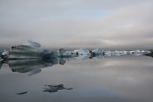 Glacier Lagoon (36)