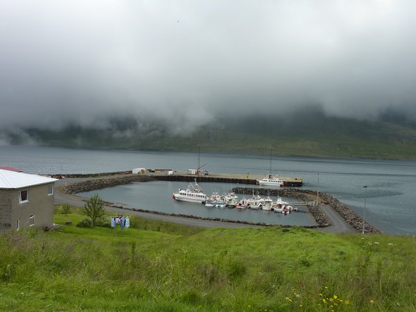 Eastfjords (34)