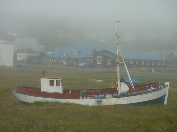 Eastfjords (30)