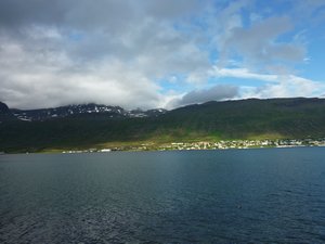 Eastfjords (46)