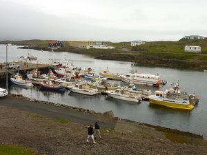 Eastfjords (14)