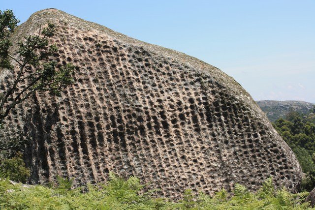 Strange shapes in the rocks