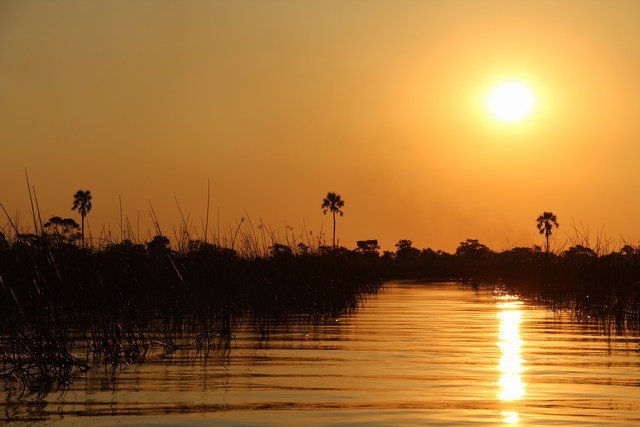 Okavango Delta (44)