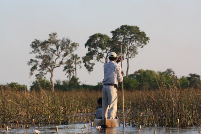Okavango Delta (57)