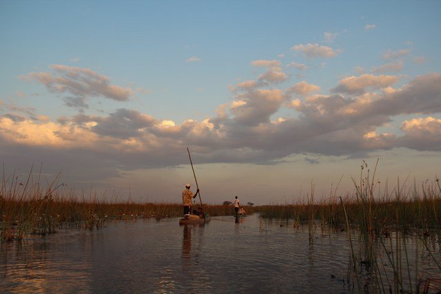 Okavango Delta (45)