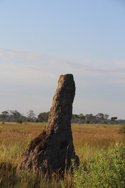 Okavango Delta (46)