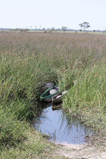 Okavango Delta (68)