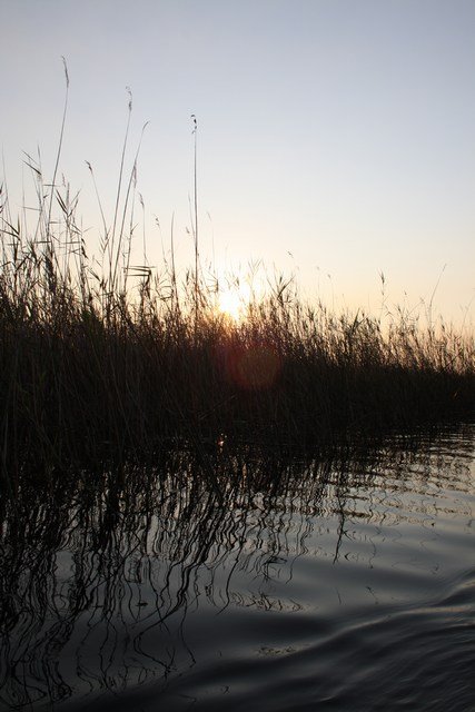 Okavango Delta (71)