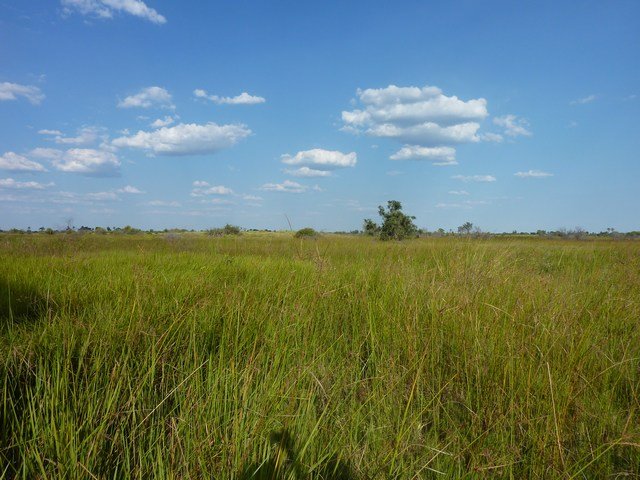 Okavango Delta (1)