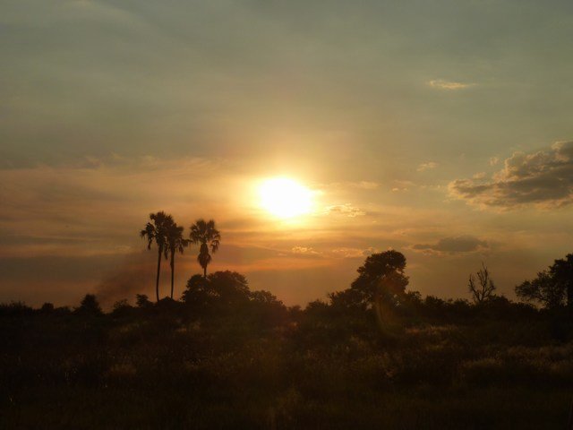 Okavango Delta (3)