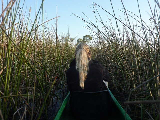 Okavango Delta (7)