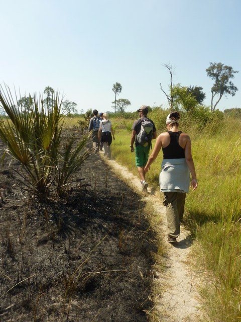 Okavango Delta (22)