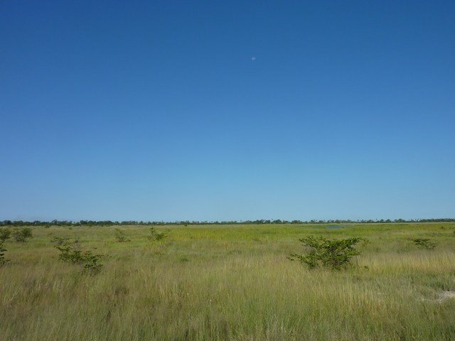 Okavango Delta (12)