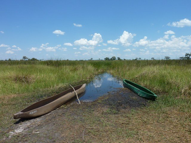 Okavango Delta (37)