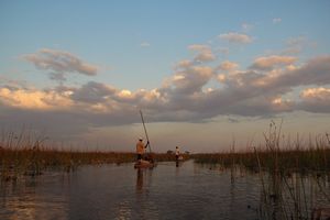 Okavango Delta (45)