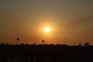 Okavango Delta (72)