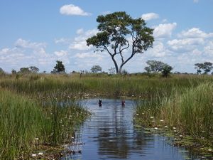 Okavango Delta (79)