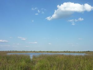 Okavango Delta (2)