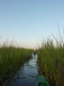 Okavango Delta (5)