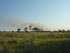 Okavango Delta (8)