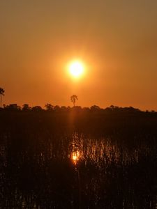 Okavango Delta (33)