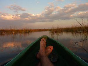 Okavango Delta (34)