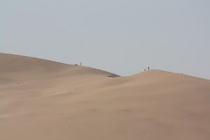 Patriefied Forest and Dune 7 (14)