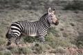 Karoo NP - Mt Zebra