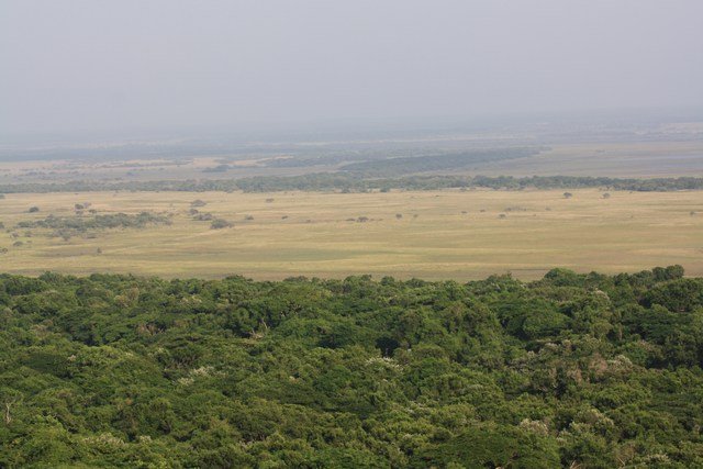 Hluhluwe NP, Ilfolozi NP & St Luca NP (31)