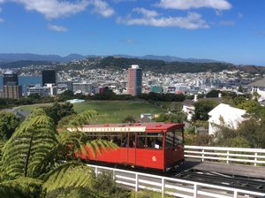 Tram up the hill, overlooking Wellington