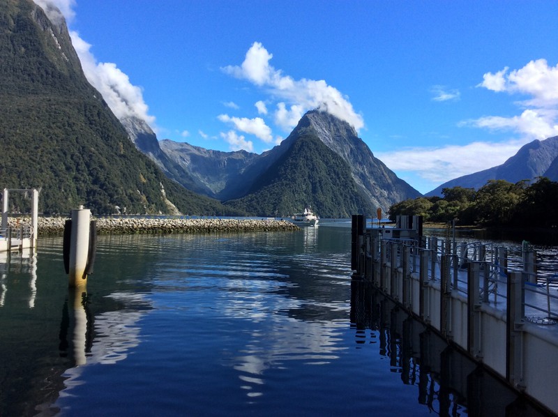 Milford Sound harbour