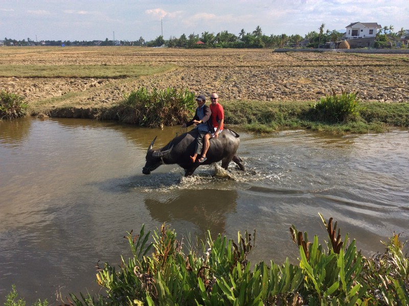 Baz riding the water buffalo