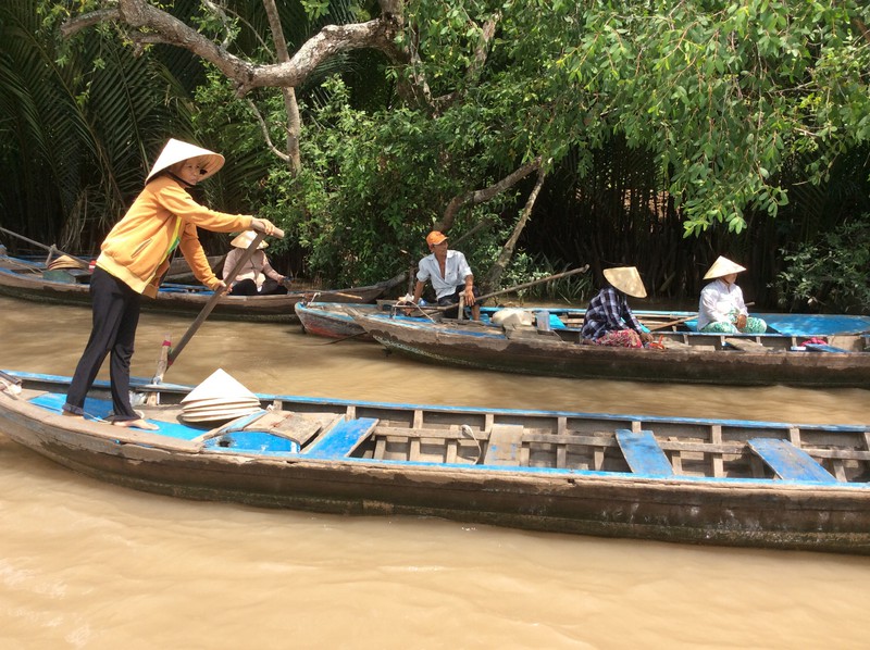 Local transport in the Mekong Delta