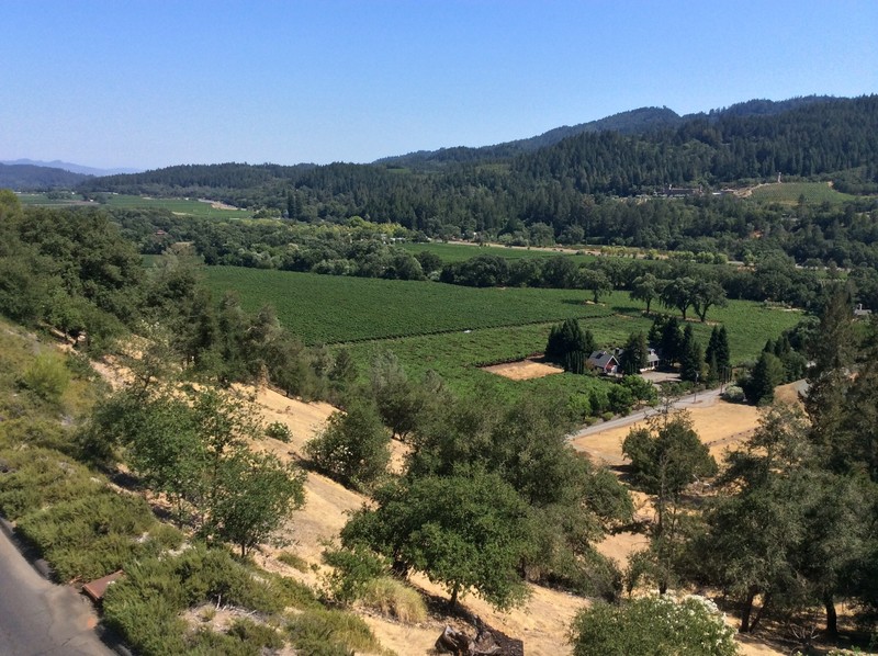 Looking out over Calistoga