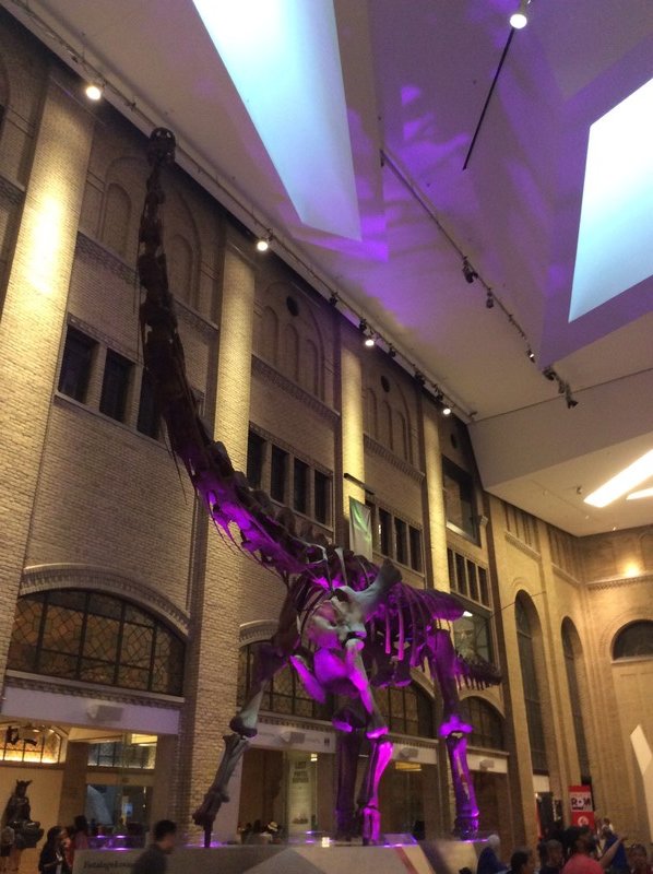 Dinosaur in the museum