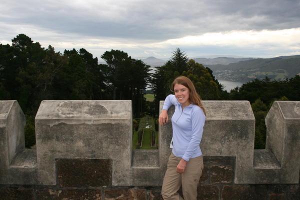 From the lookout at Larnach castle