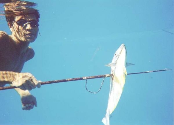 Budibudi islander spearfishing