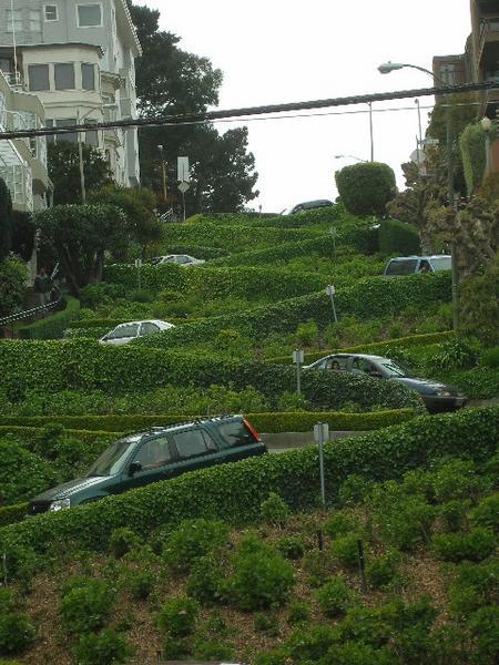 San Francisco's crooked street - not sure whats best the scary hills or the windy road to get up and down?